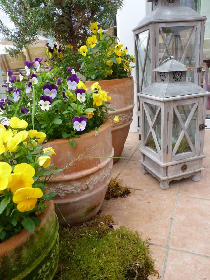 Pension Bergterrasse Annweiler am Trifels Εξωτερικό φωτογραφία